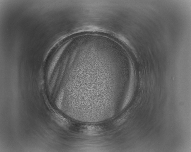 X0000071781318200607150045