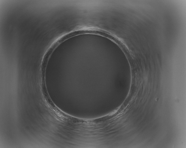 X0000071781319200607150045