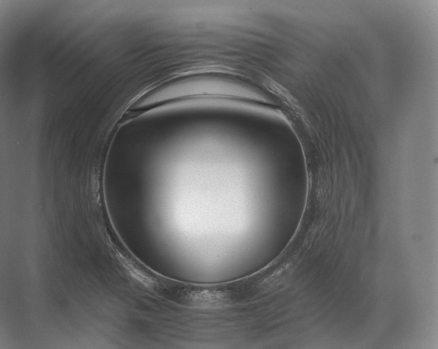 X0000071781321200607150045