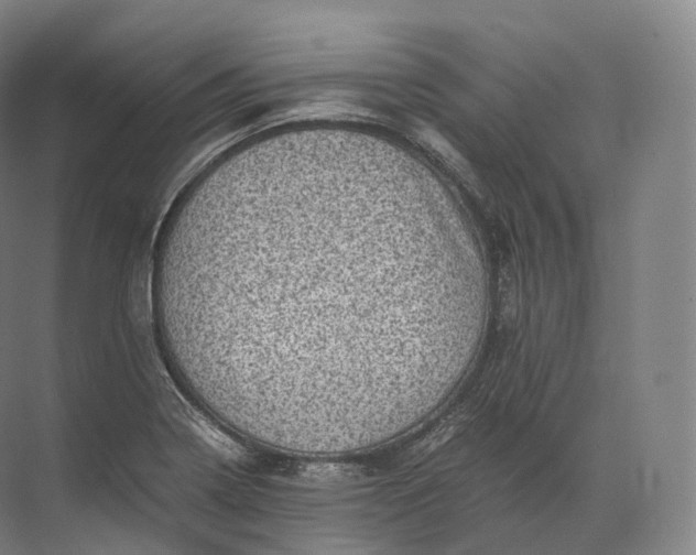 X0000071781322200607150045