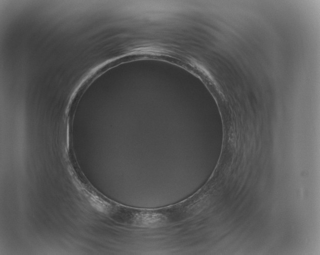 X0000071781323200607150045