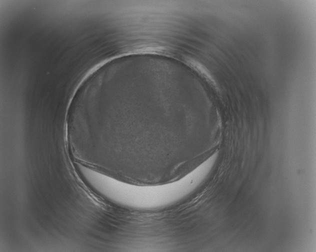 X0000071781324200607150045