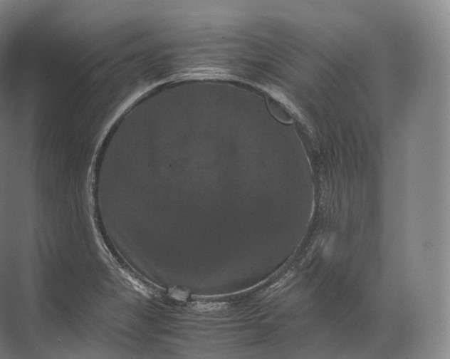 X0000071781325200607150045