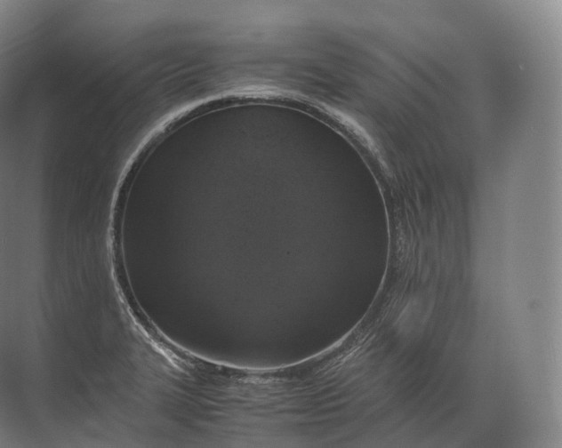 X0000071781327200607150045