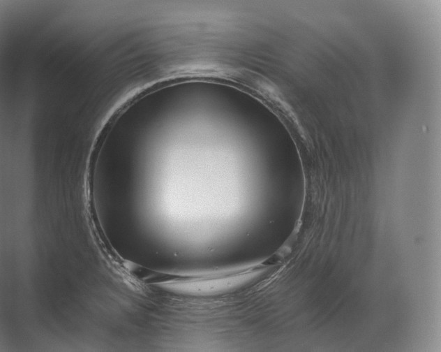 X0000071781328200607150045