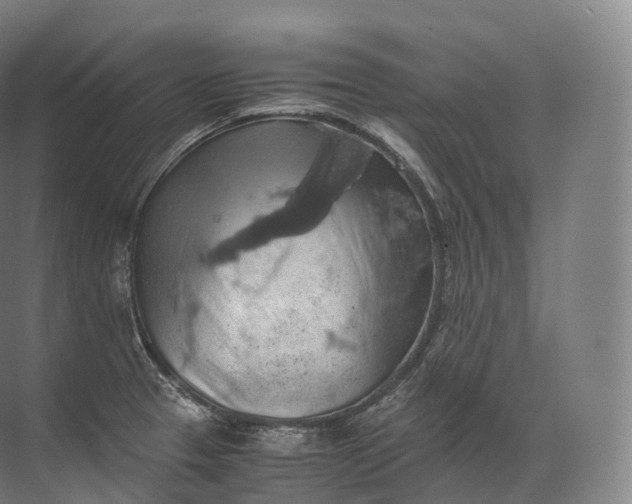 X0000071781329200607150045