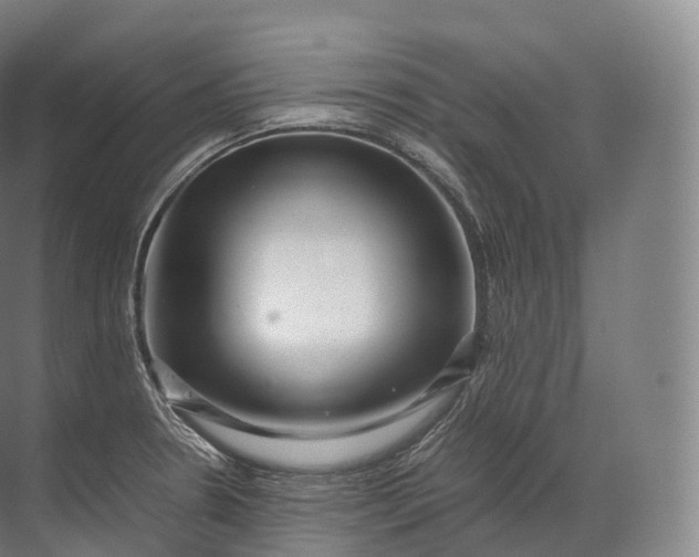 X0000071781330200607150045