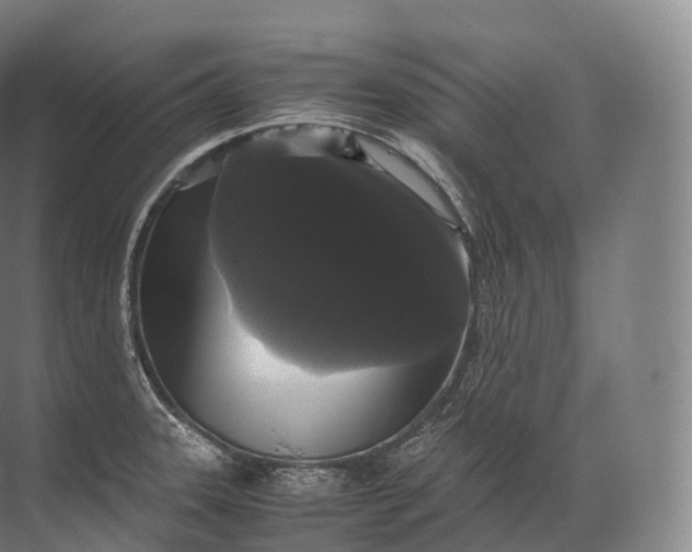 X0000071781331200607150045