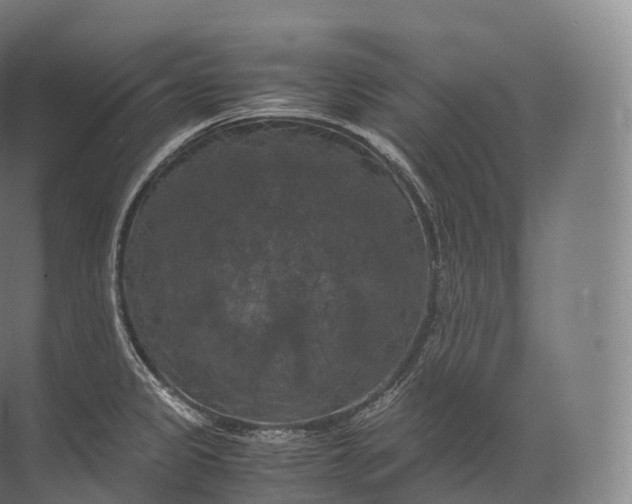 X0000071781333200607150045