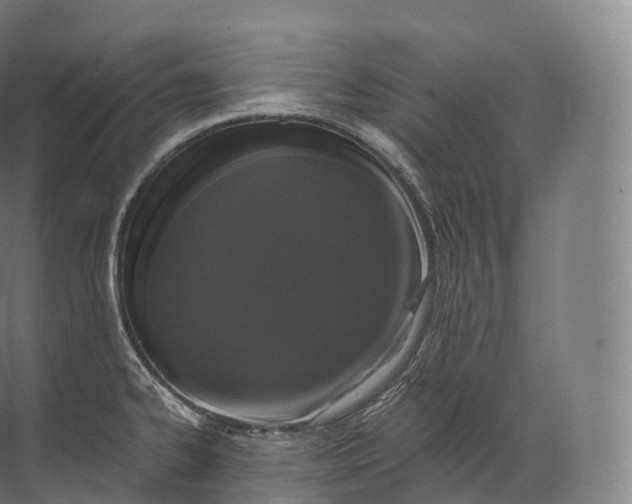 X0000071781334200607150045