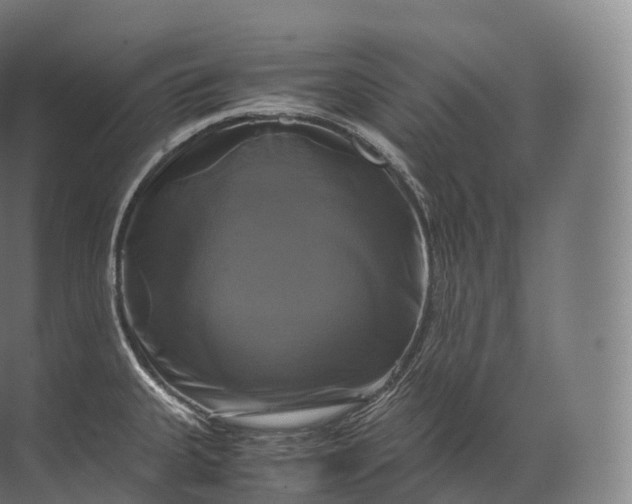 X0000071781335200607150045