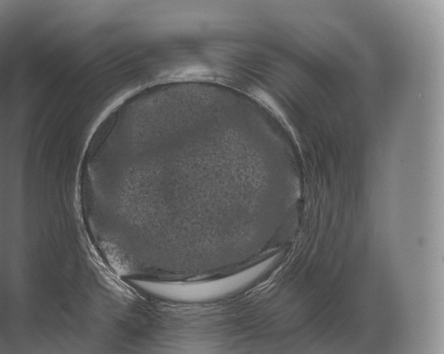 X0000071781336200607150045