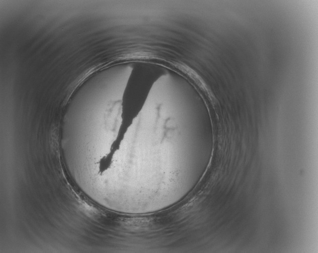 X0000071781337200607150045