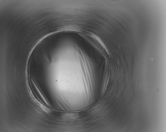 X0000071781339200607150045