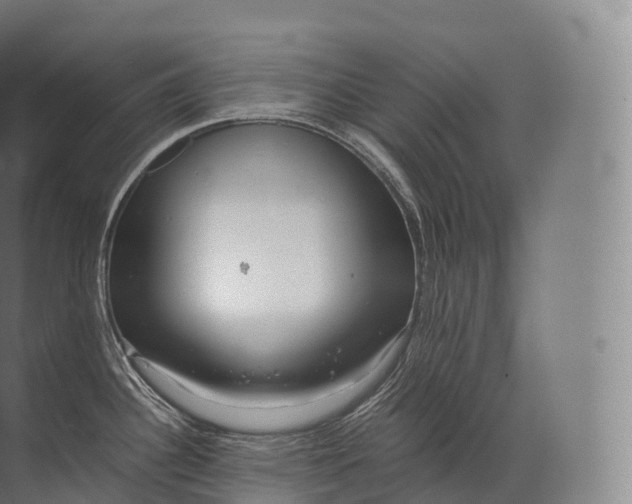 X0000071781340200607150045