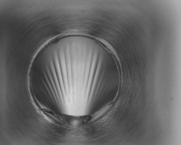 X0000071781341200607150045