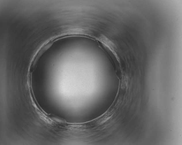 X0000071781342200607150045