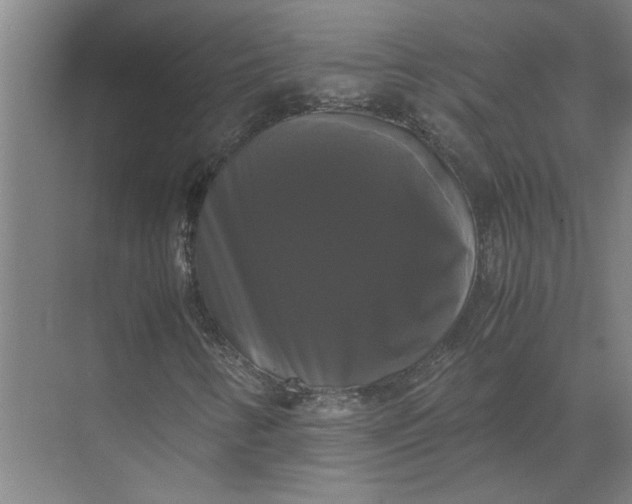 X0000071781346200607150044