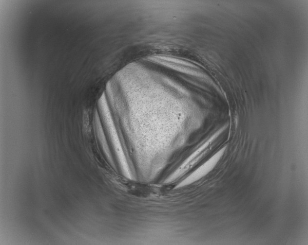 X0000071781347200607150044