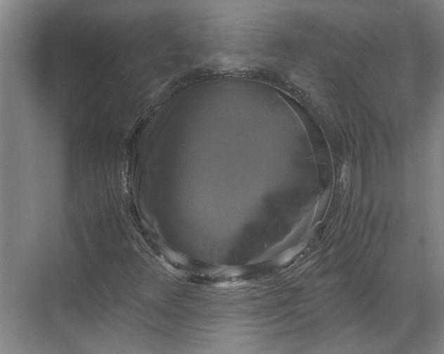 X0000071781348200607150044