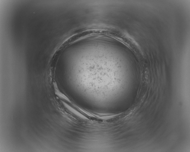 X0000071781352200607150044