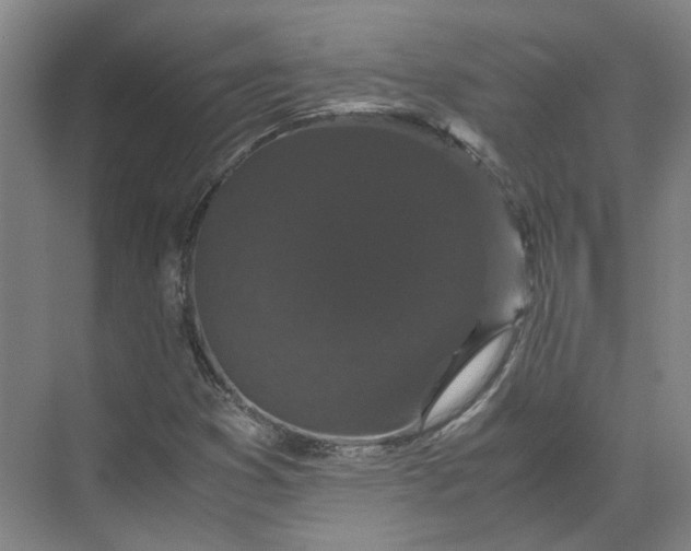 X0000071781353200607150044