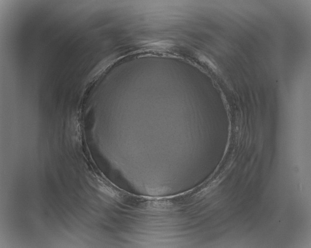 X0000071781354200607150044