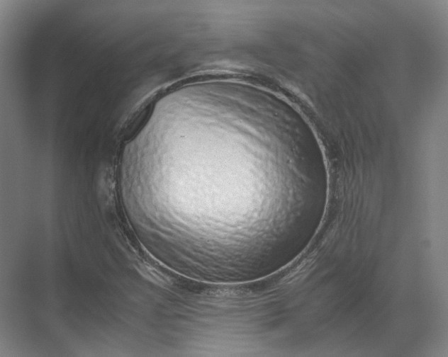 X0000071781355200607150044