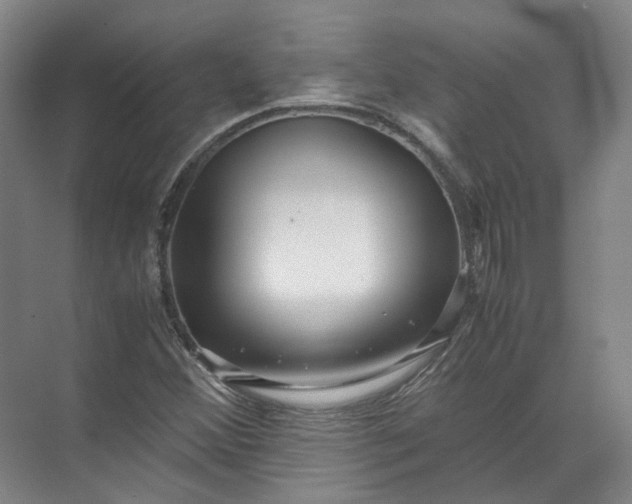 X0000071781356200607150044