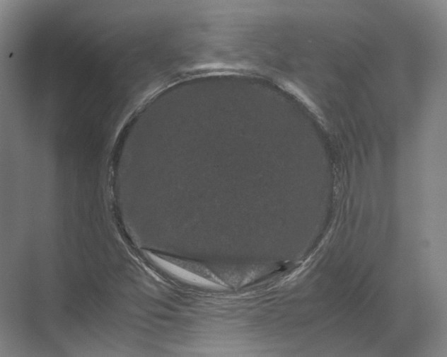 X0000071781357200607150044