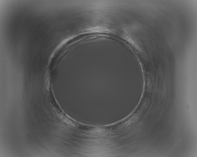 X0000071781358200607150044