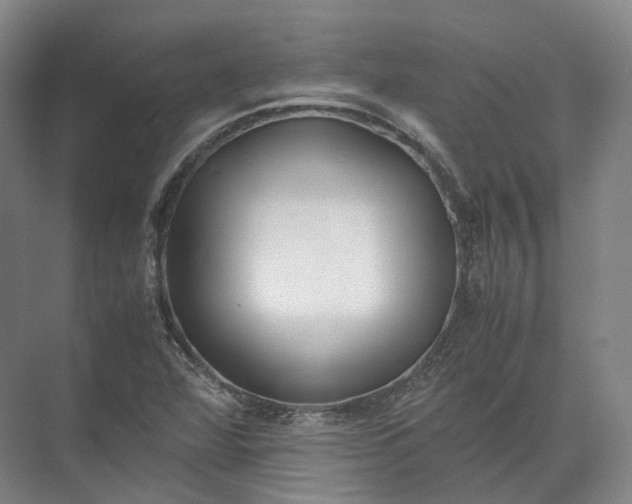 X0000071781360200607150044