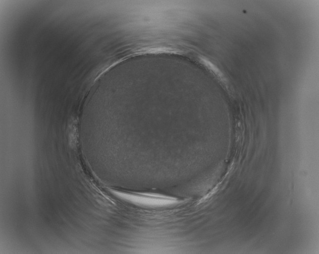 X0000071781361200607150044