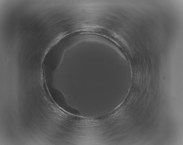 X0000071781362200607150044