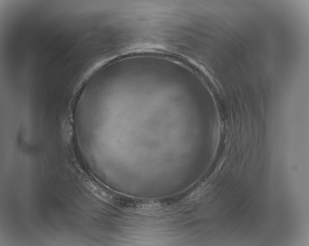 X0000071781363200607150044