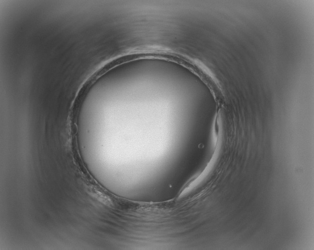 X0000071781364200607150044