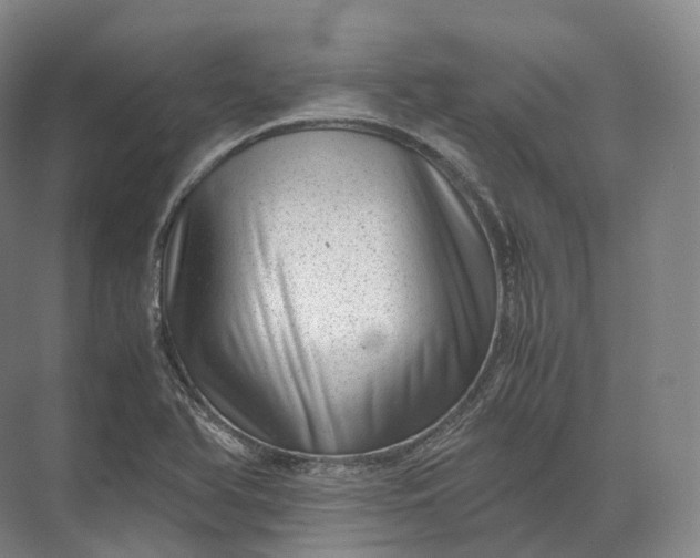 X0000071781366200607150044