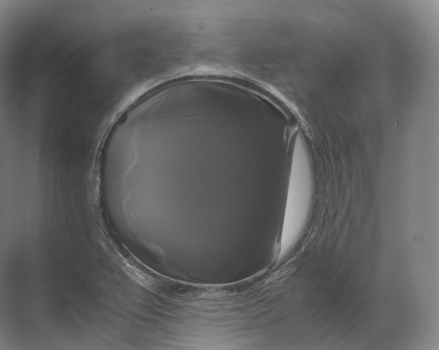 X0000071781367200607150044