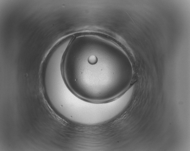 X0000071781368200607150044