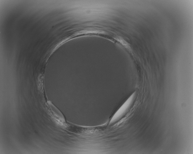 X0000071781369200607150044