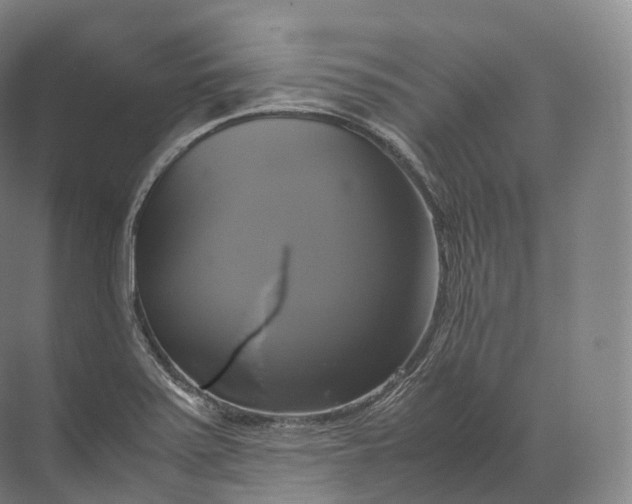 X0000071781371200607150044