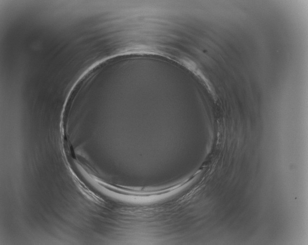 X0000071781372200607150044