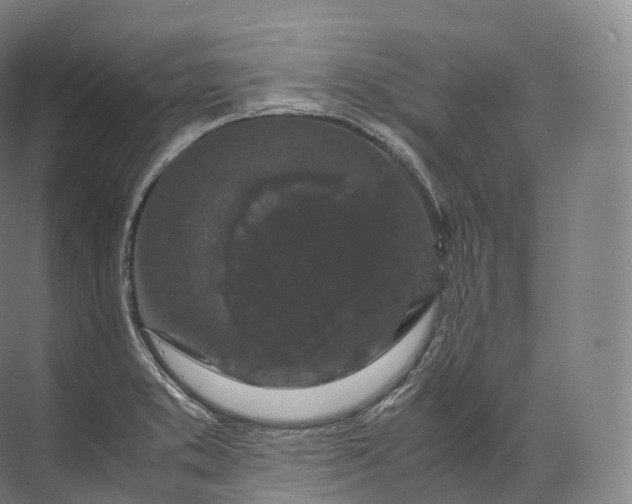 X0000071781373200607150044