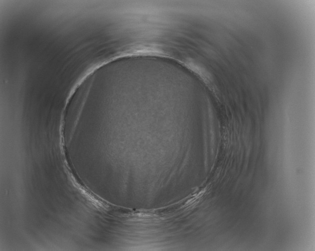 X0000071781374200607150044