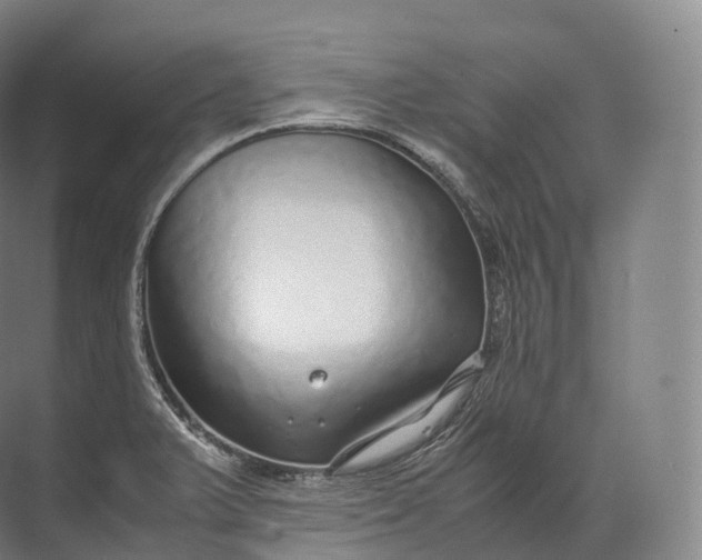 X0000071781375200607150044