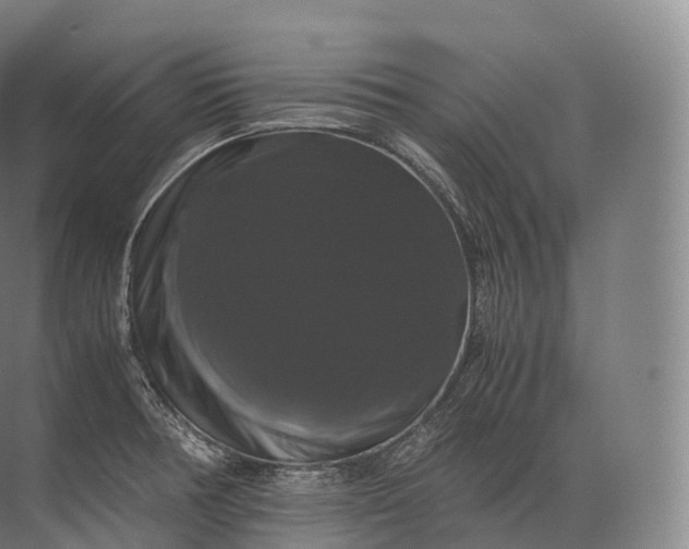 X0000071781378200607150044