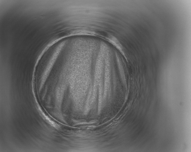 X0000071781379200607150044