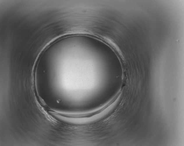 X0000071781380200607150044