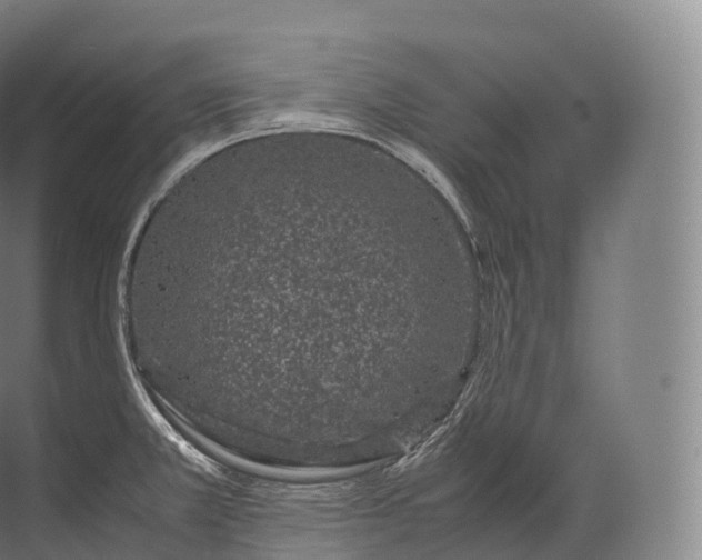 X0000071781381200607150044