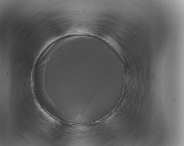 X0000071781382200607150044